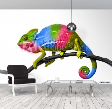 Bild på Chameleon - colors